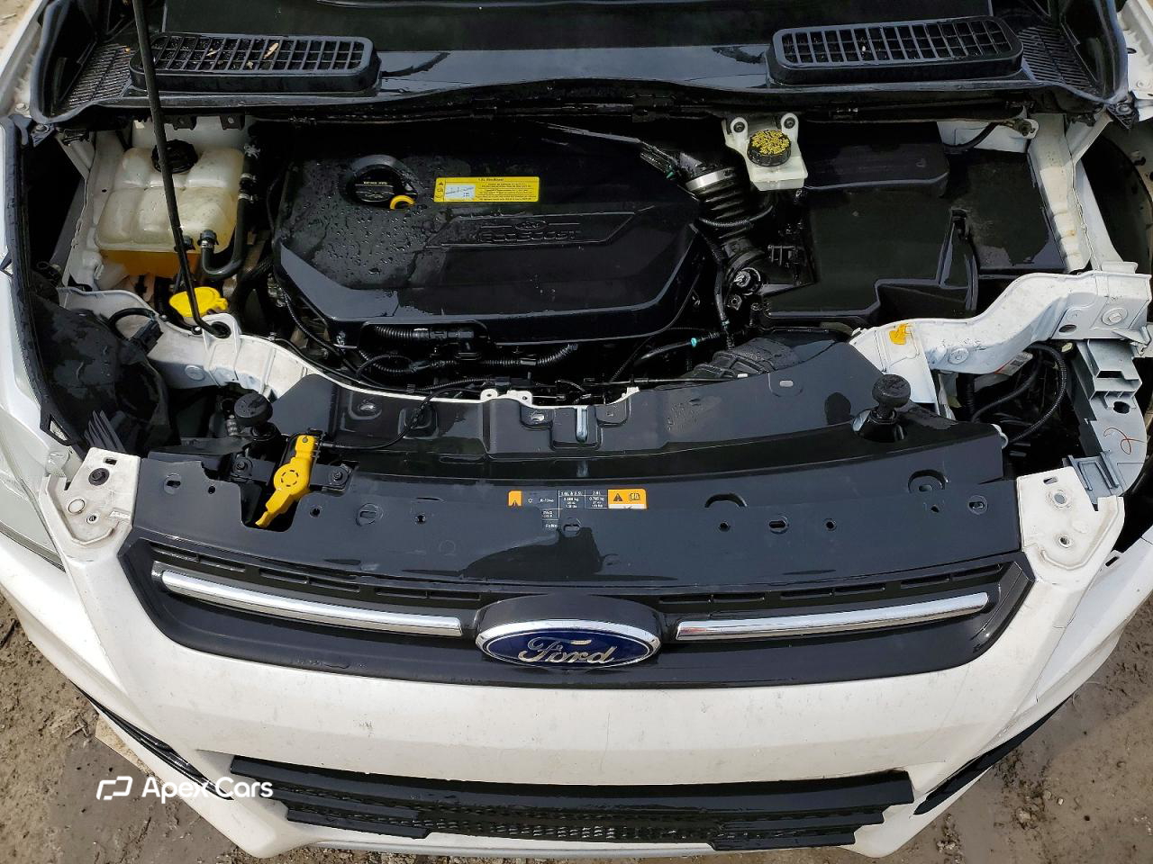 Ford Escape 2014