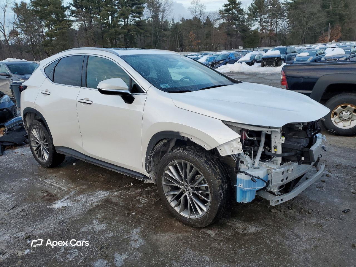 Lexus NX 2023