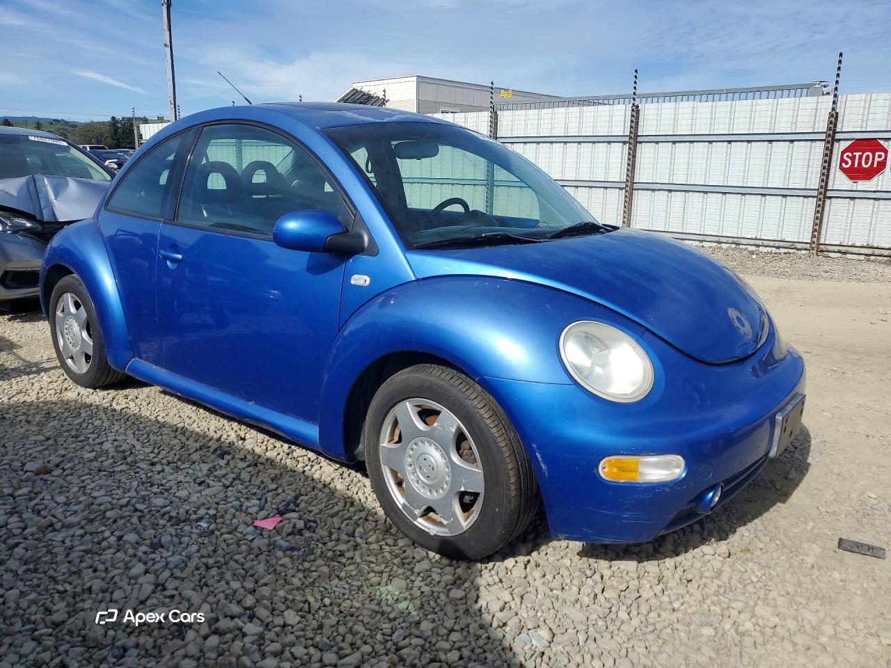 Volkswagen Beetle 2001