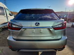 Lexus RX 2021