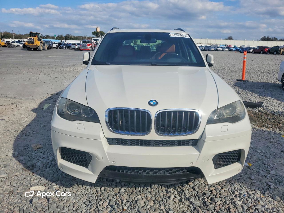 BMW X5 2010