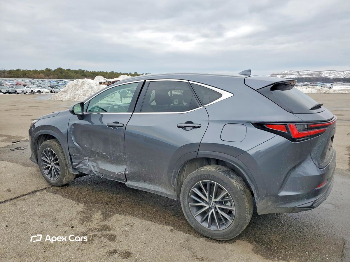Lexus NX 2024