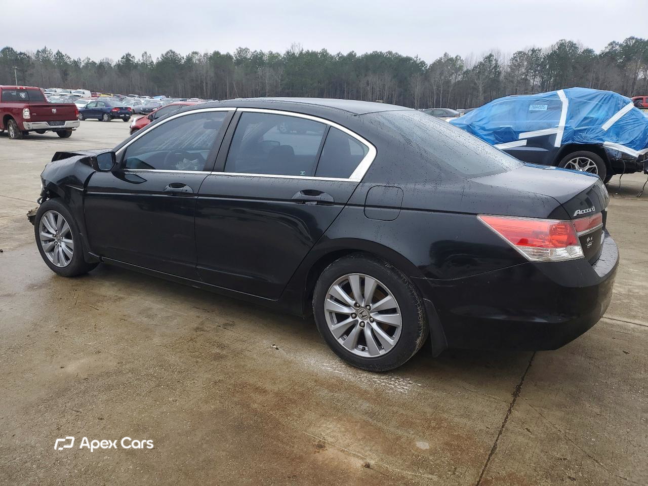 Honda Accord 2011