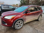 Ford Escape 2014