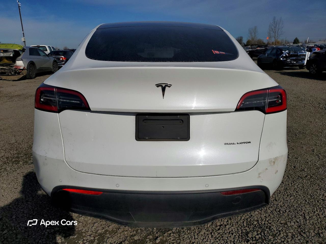 Tesla Model Y 2020
