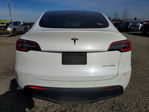 Tesla Model Y 2020