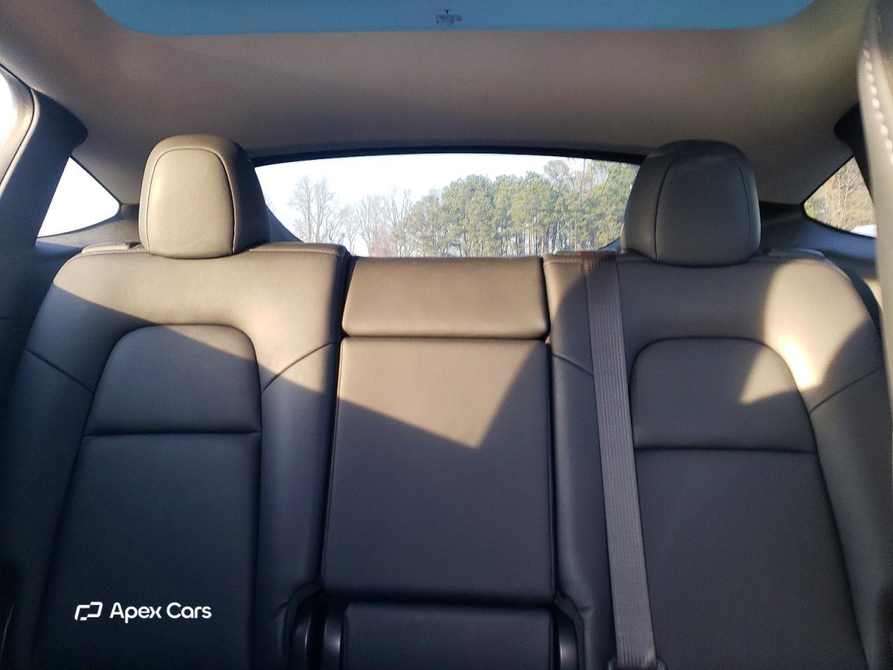 Tesla Model Y 2020