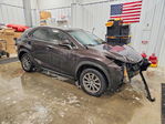 Lexus NX 2015