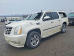 Cadillac Escalade 2011