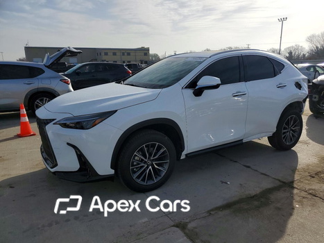 Lexus NX 2026 - Image 1 of 14