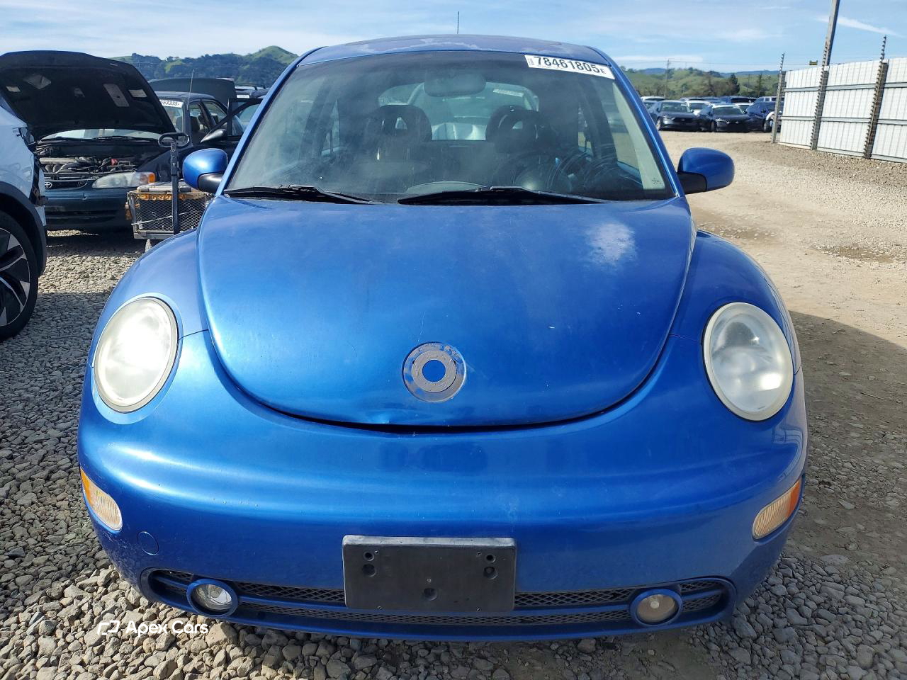 Volkswagen Beetle 2001