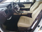 Lexus RX 2020