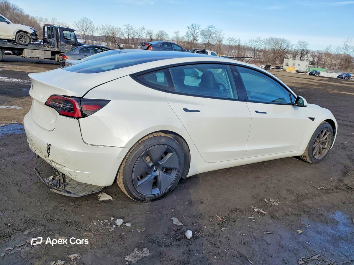 Tesla Model 3 2021