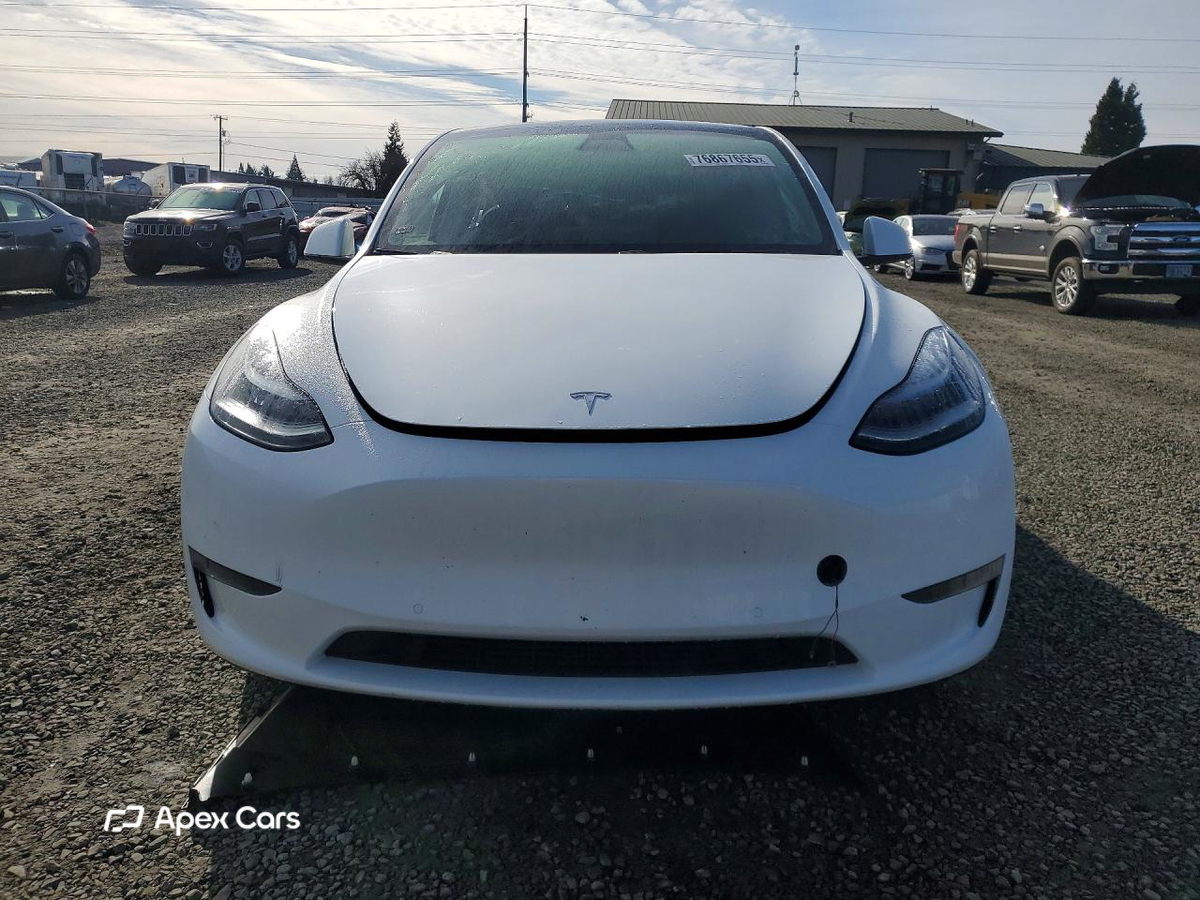 Tesla Model Y 2020