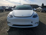 Tesla Model Y 2020