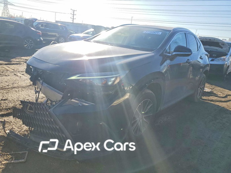 Lexus NX 2025 - Image 1 of 12