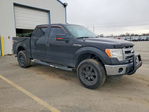 Ford F-150 2013