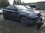 BMW X6 2010