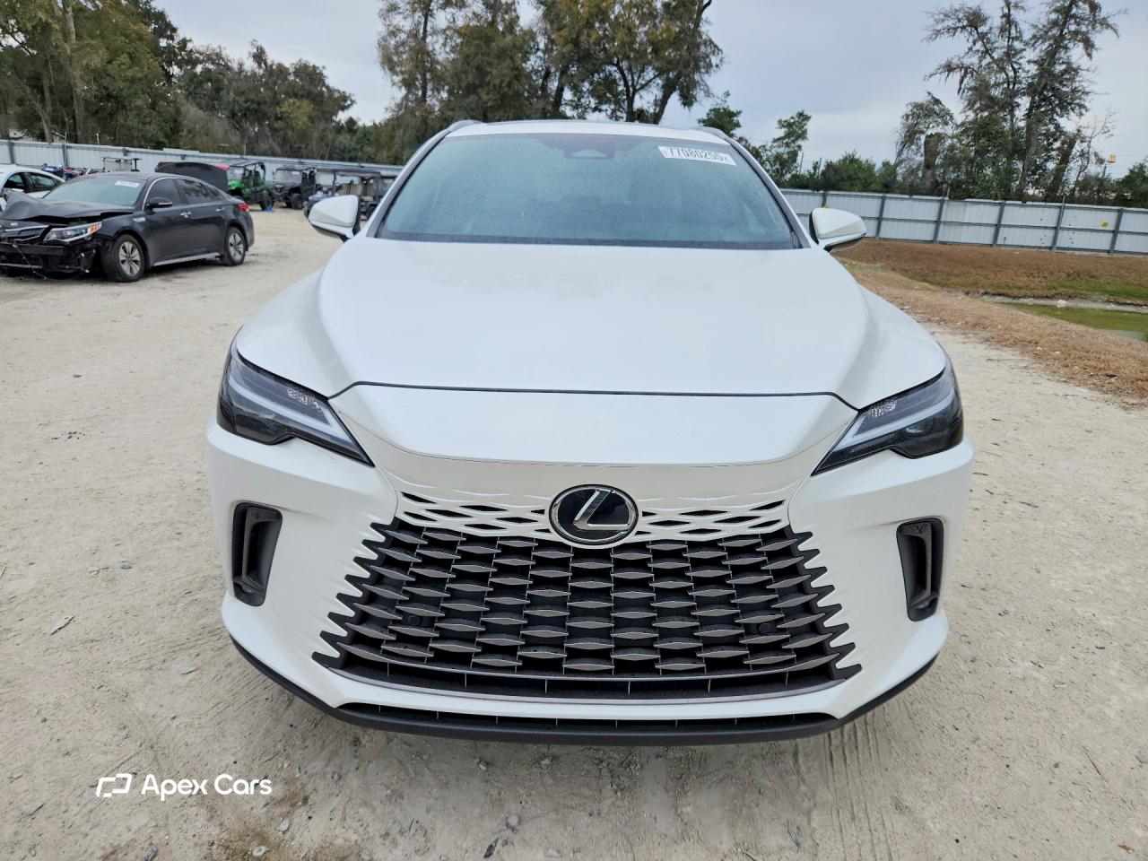 Lexus RX 2023
