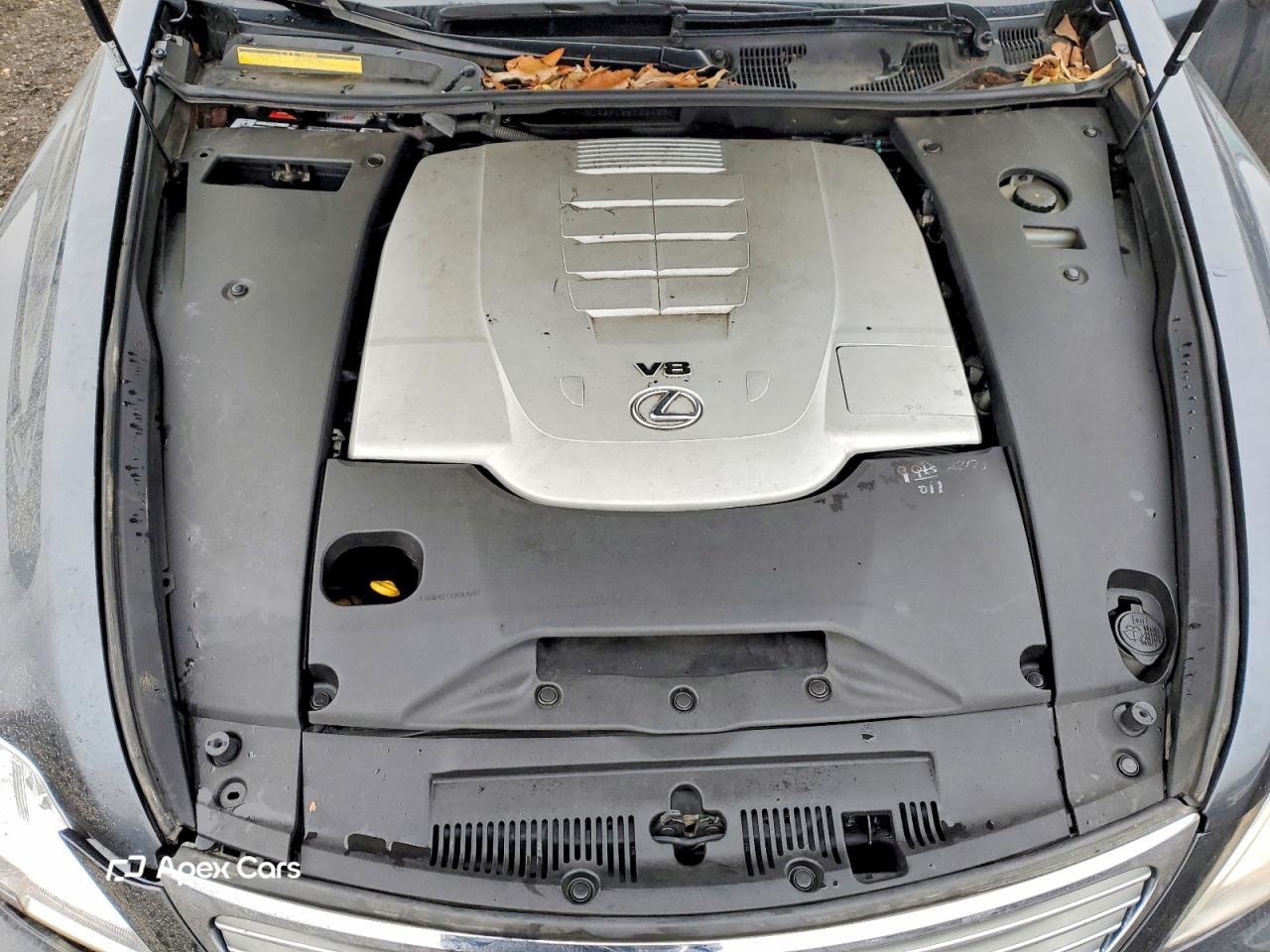 Lexus LS 2008