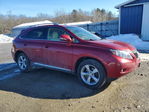Lexus RX 2011