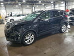 Ford Escape 2016
