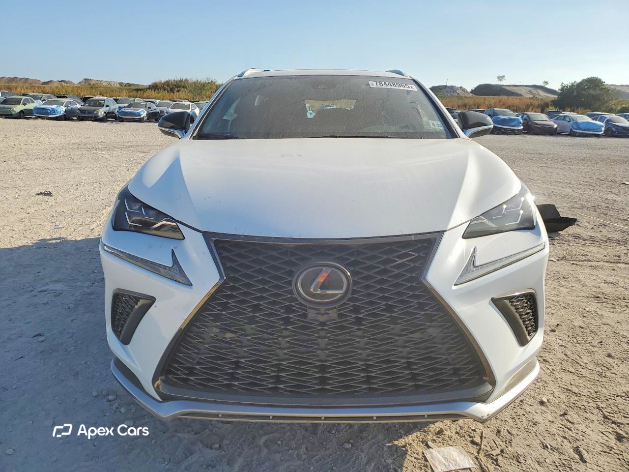 Lexus NX 2020