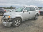 Ford Escape 2009