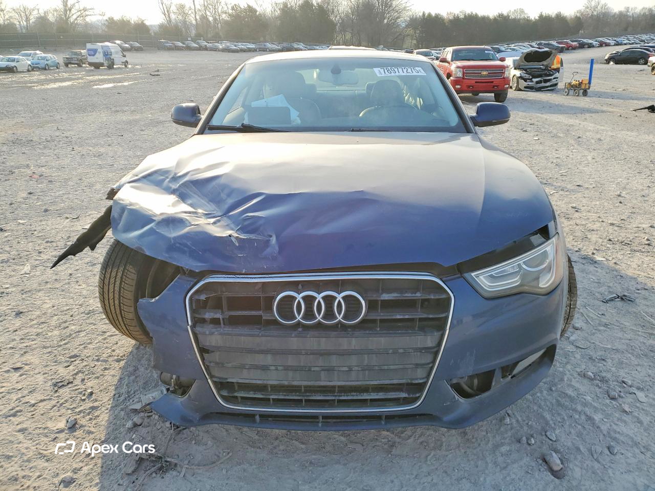 Audi  2013