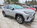 Toyota RAV 4 2024