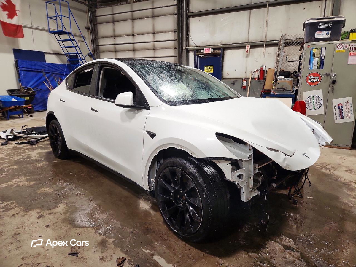 Tesla Model Y 2021