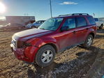 Ford Escape 2012