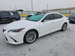 Lexus ES 2020