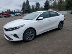 Kia Forte 2024