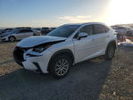 Lexus NX 2019