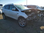 Ford Escape 2014