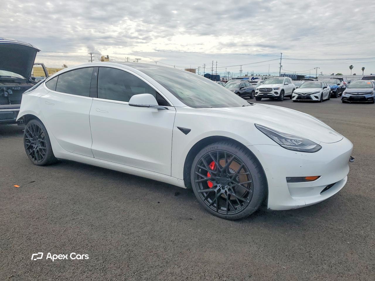 Tesla Model 3 2019