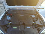 Audi Q8 2024