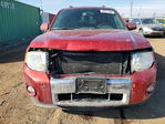 Ford Escape 2012
