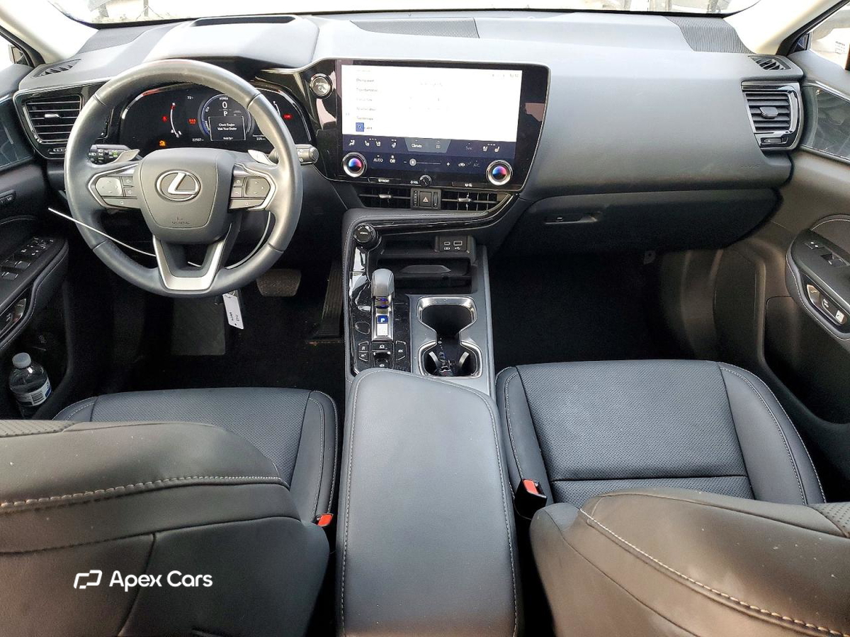 Lexus NX 2024