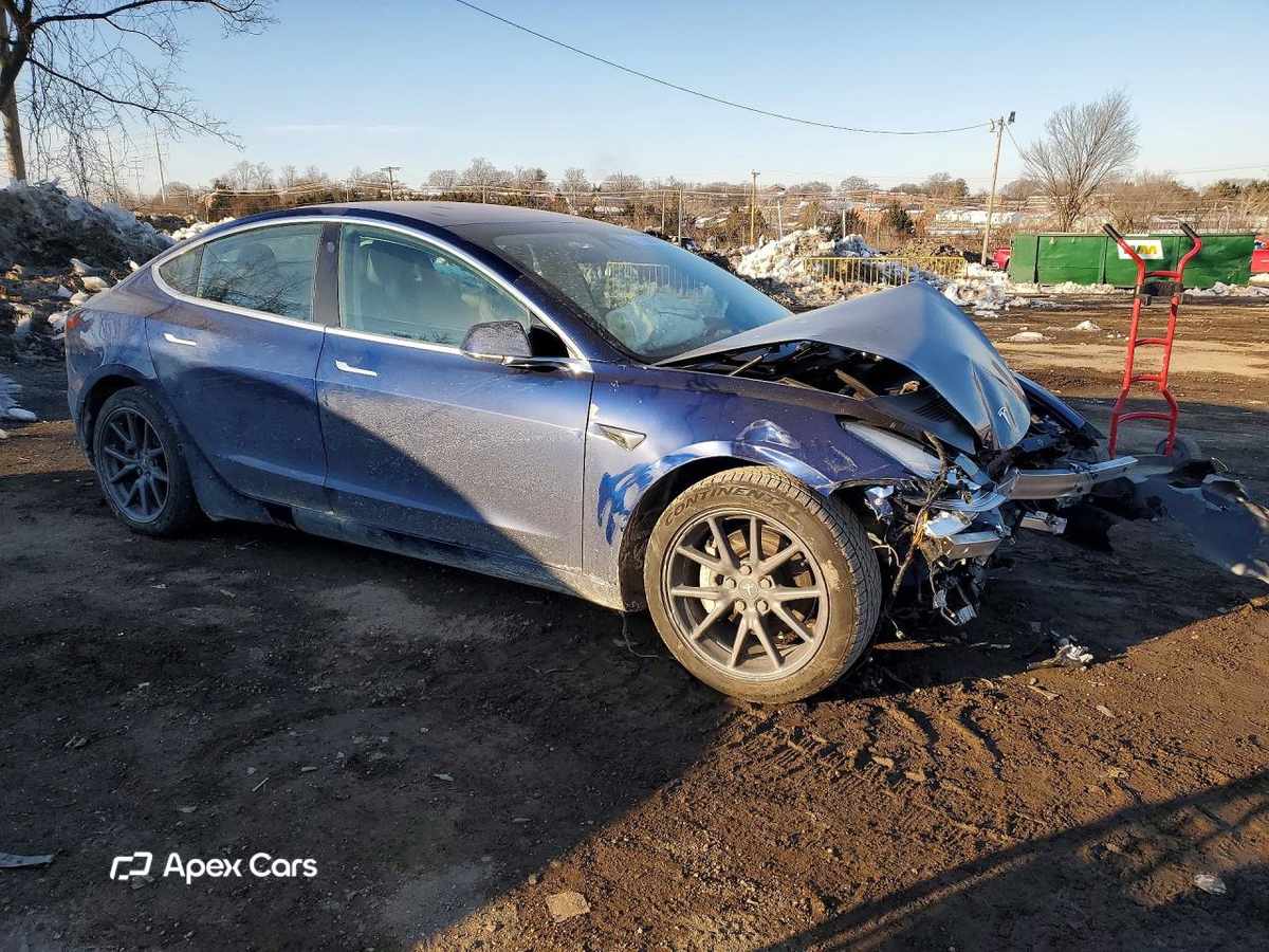 Tesla Model 3 2019