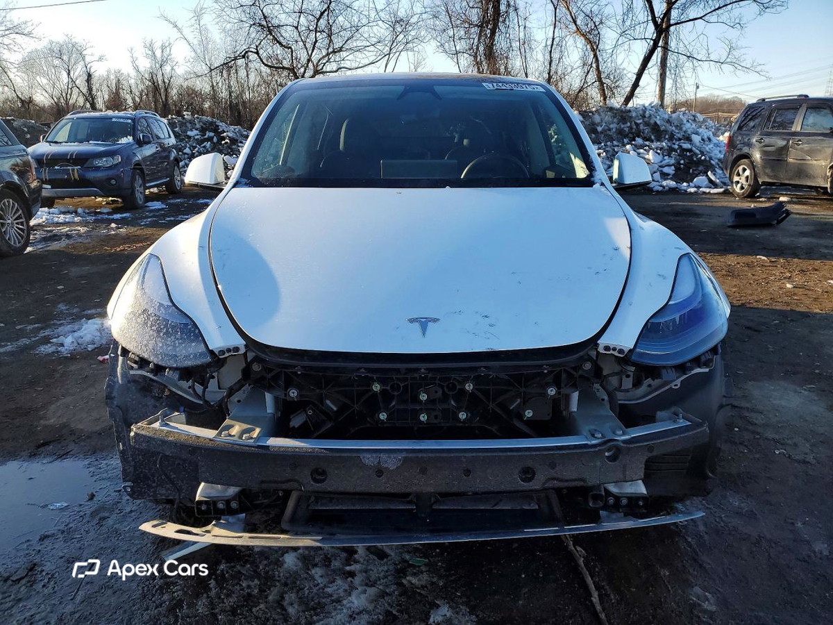 Tesla Model Y 2024