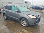 Ford Escape 2014