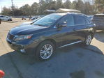 Lexus RX 2010