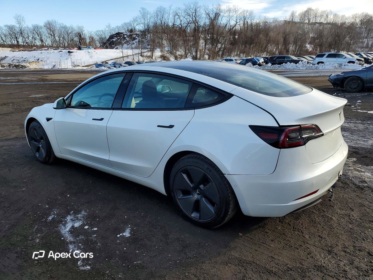Tesla Model 3 2021