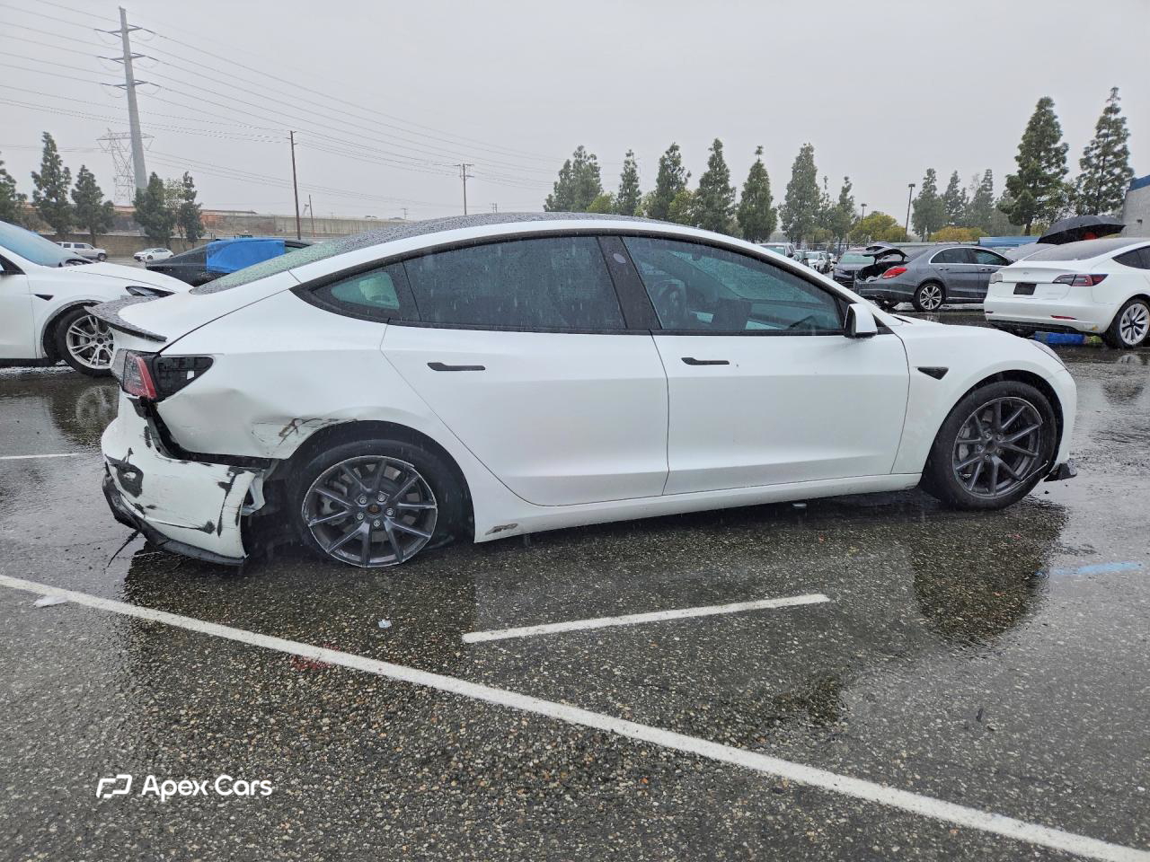 Tesla Model 3 2023