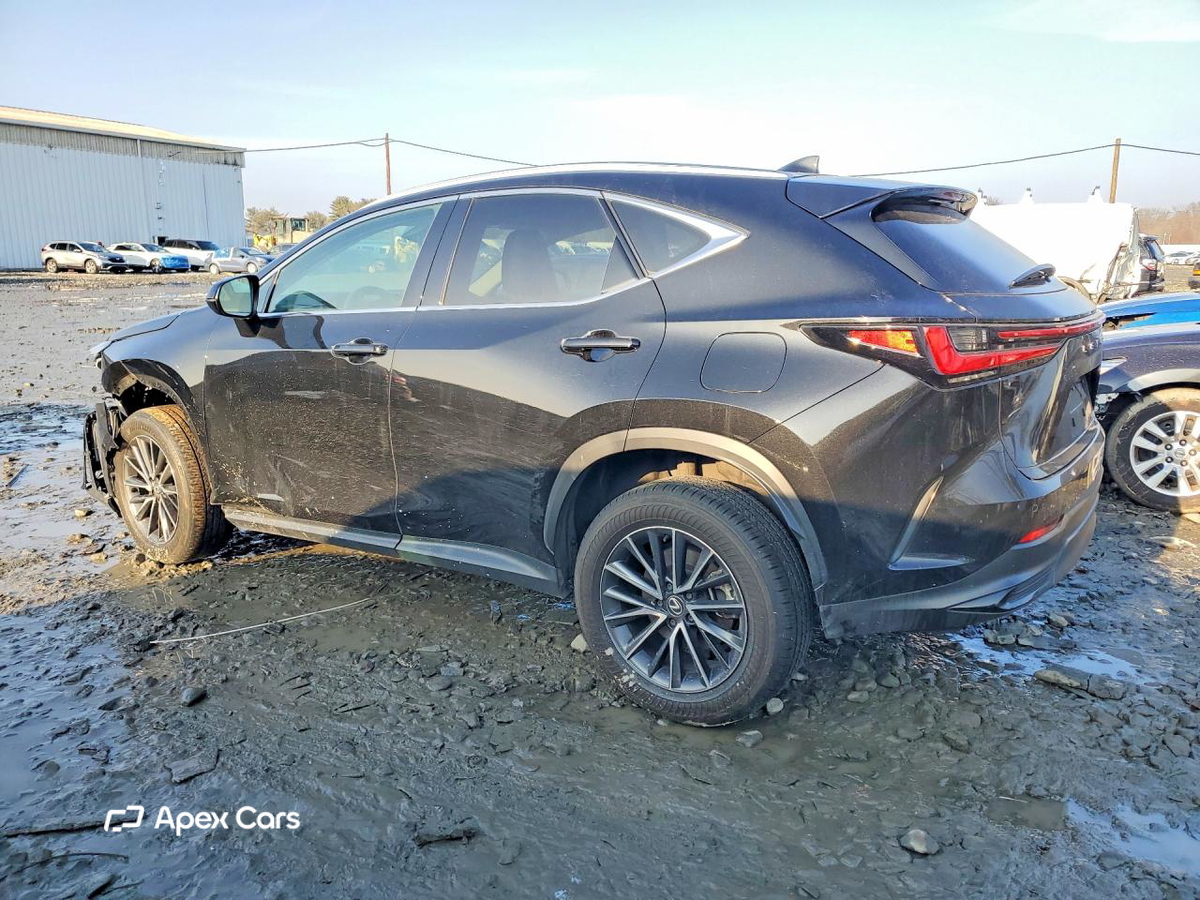 Lexus NX 2024