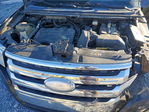 Ford Edge 2013