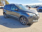 Ford Escape 2016
