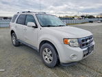 Ford Escape 2011